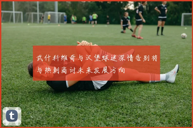 武什科维奇与汉堡球迷深情告别将与热刺商讨未来发展方向